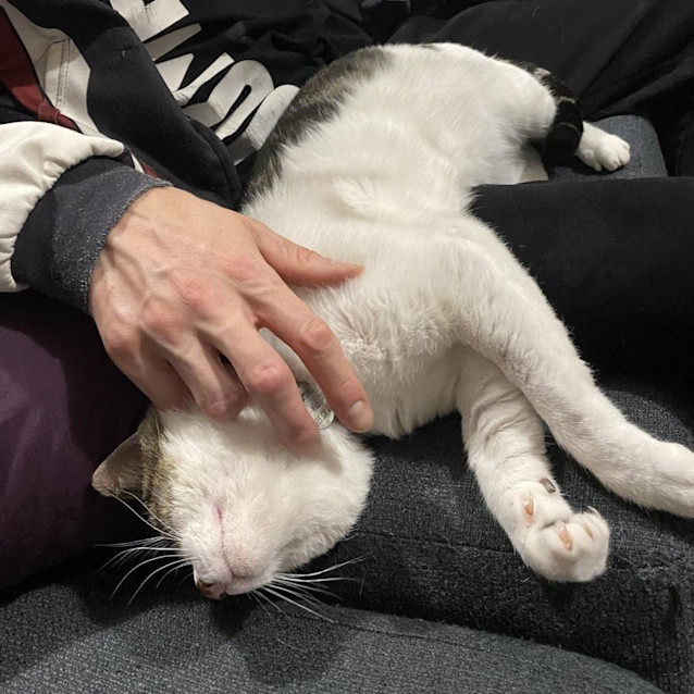 Photo of Max   Located In Melton West