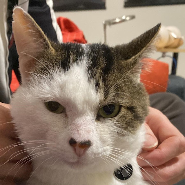 Photo of Max   Located In Melton West