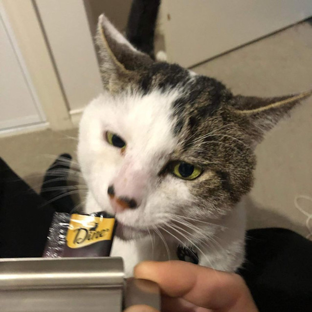 Photo of Max   Located In Melton West