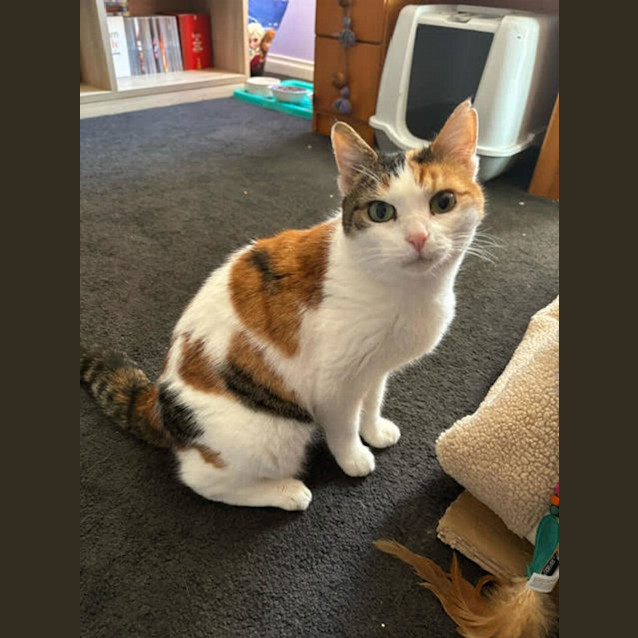 Photo of Rosie