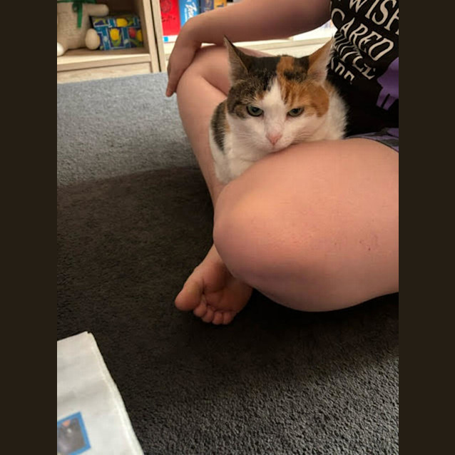 Photo of Rosie