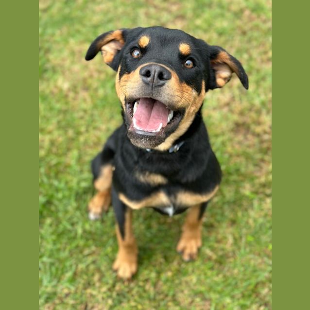 Photo of Bruce