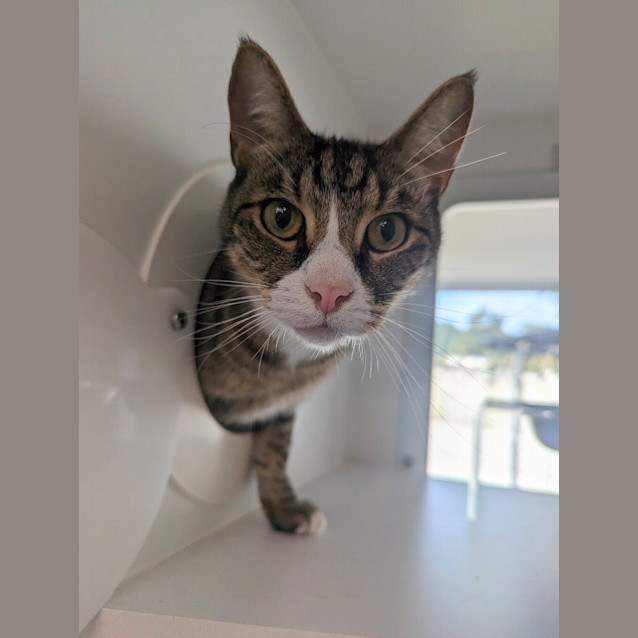 Photo of Rocky