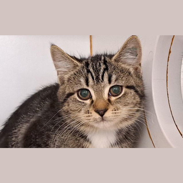 Photo of Luna 