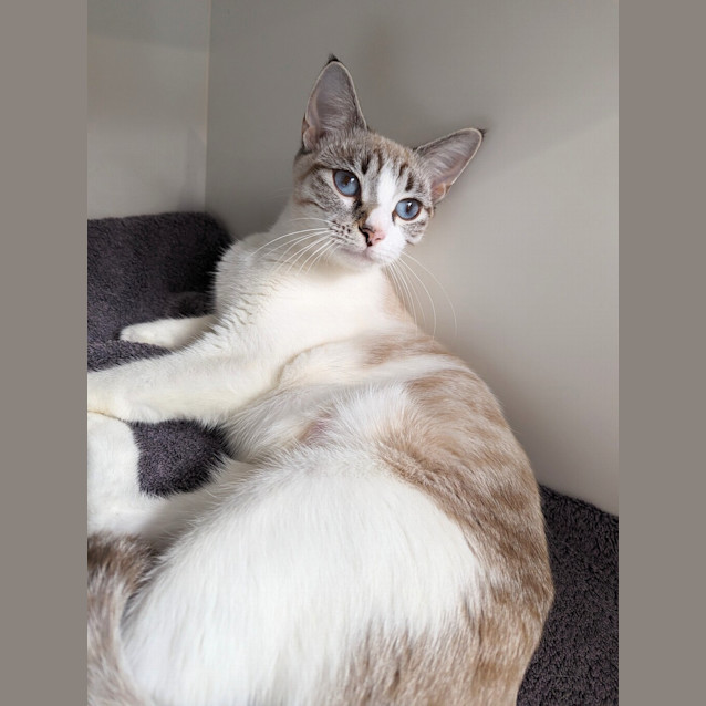 Photo of Molly