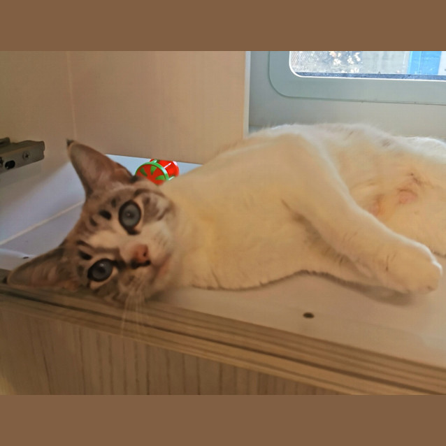 Photo of Molly