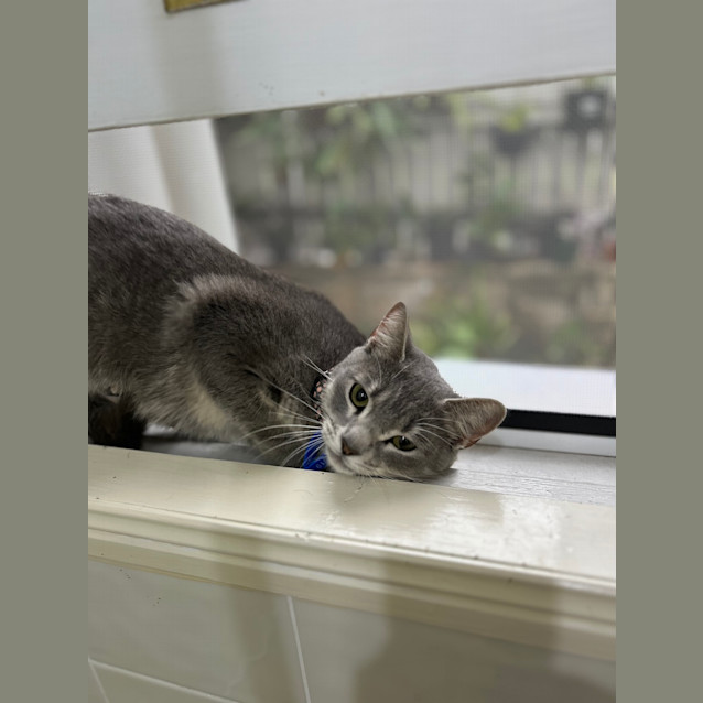 Photo of Daisy