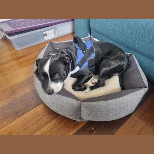 Photo of Freddie Gainsborough