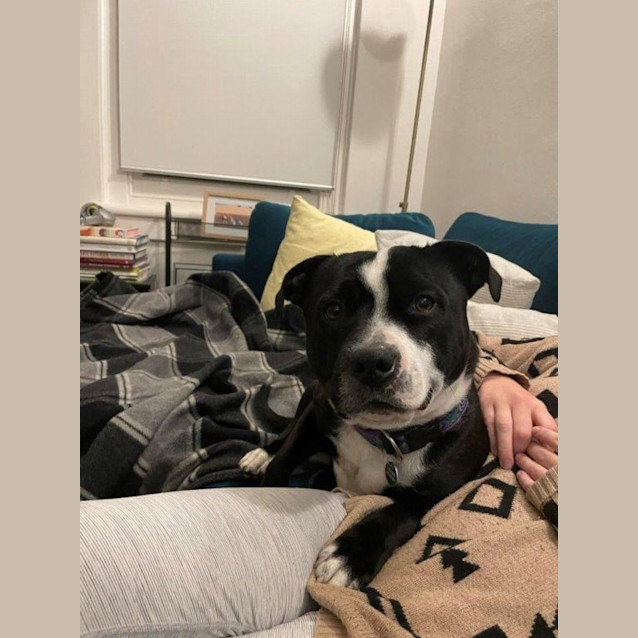 Photo of Freddie Gainsborough