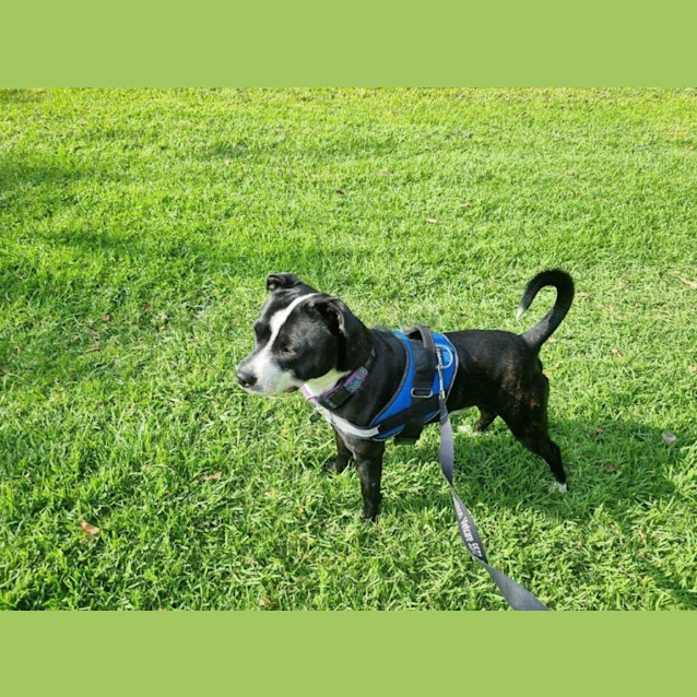 Photo of Freddie Gainsborough