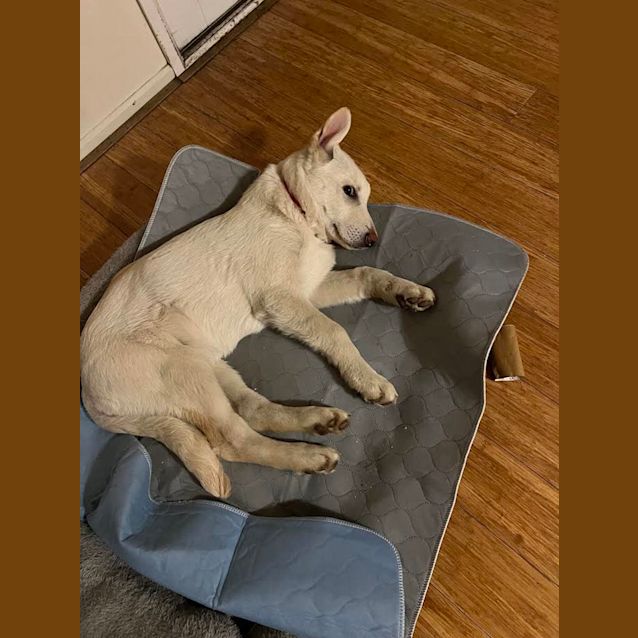 Photo of Charlie