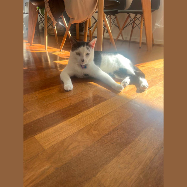 Photo of ⭐️ Ruben ⭐️