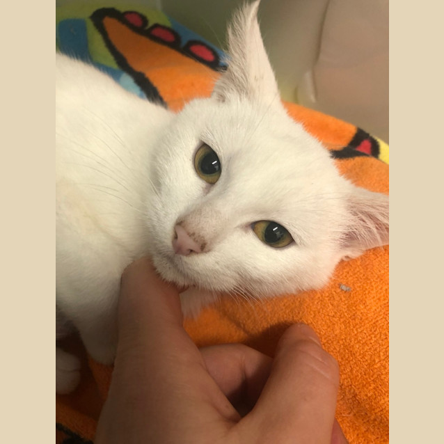 Photo of Olaf 