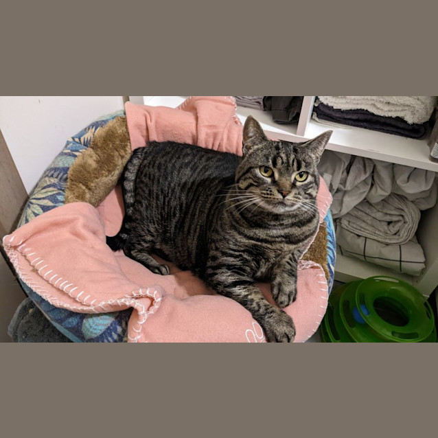 Photo of Jemima 🌸