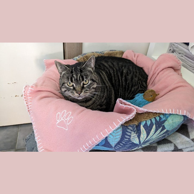 Photo of Jemima 🌸