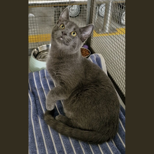 Photo of Buddy