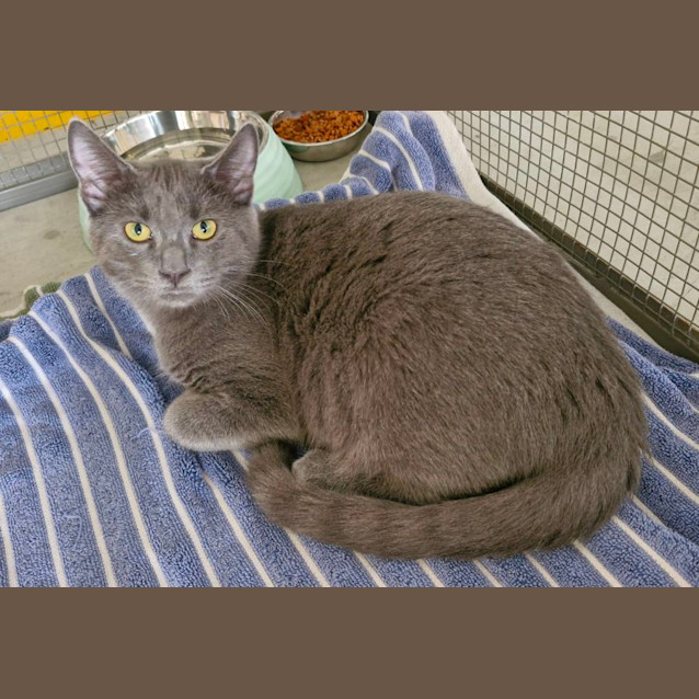 Photo of Buddy