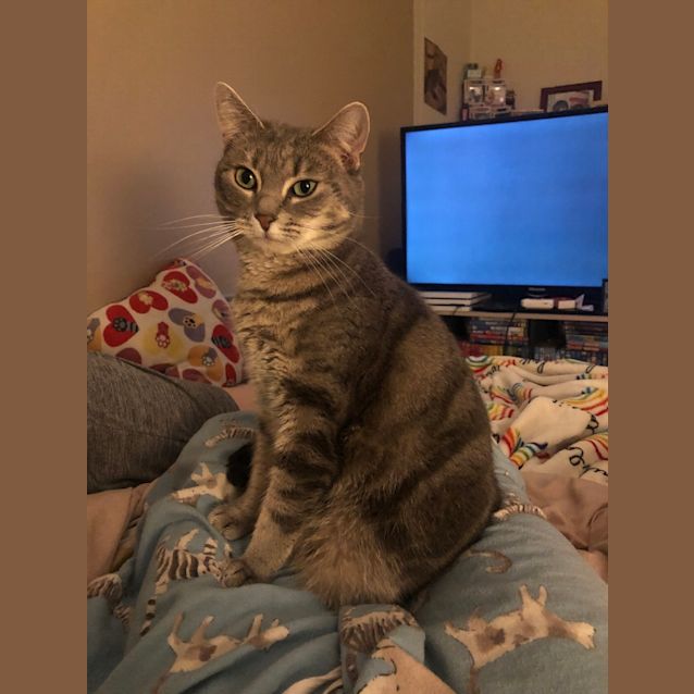 Photo of Meeka
