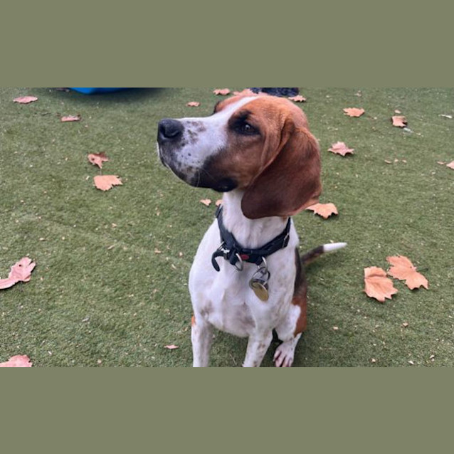 Photo of Waldo