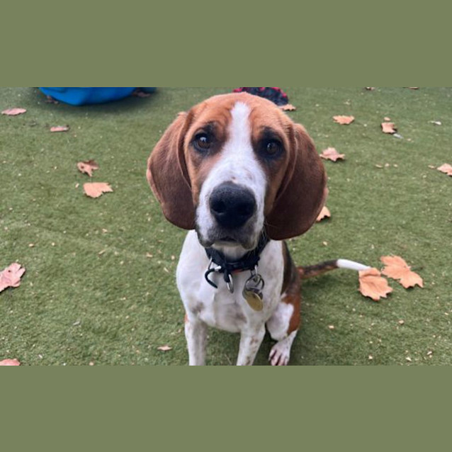 Photo of Waldo