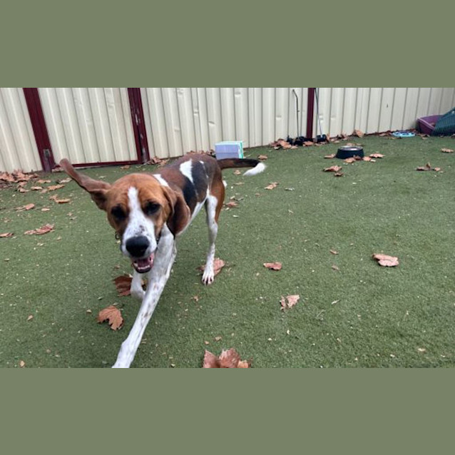 Photo of Waldo
