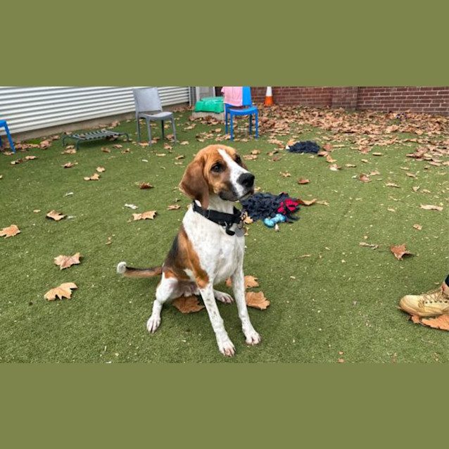 Photo of Waldo