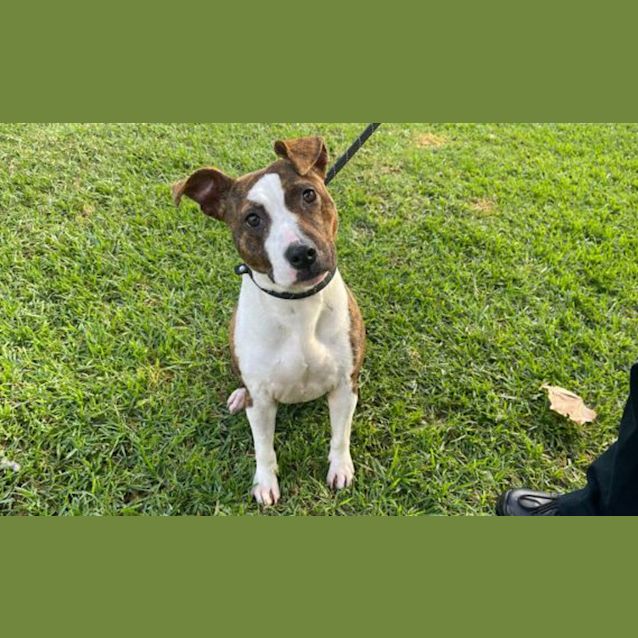 Photo of Lexie