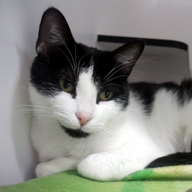 Photo of Phoebe Sta012374