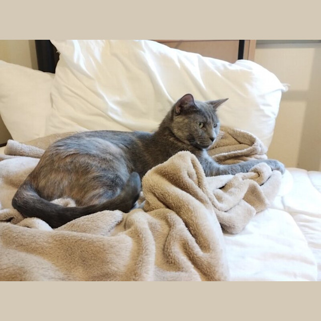Photo of Sammy