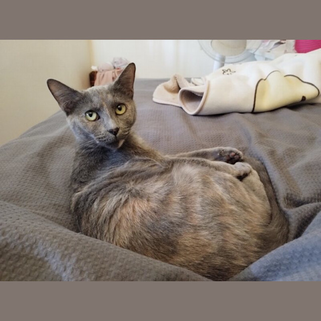 Photo of Sammy