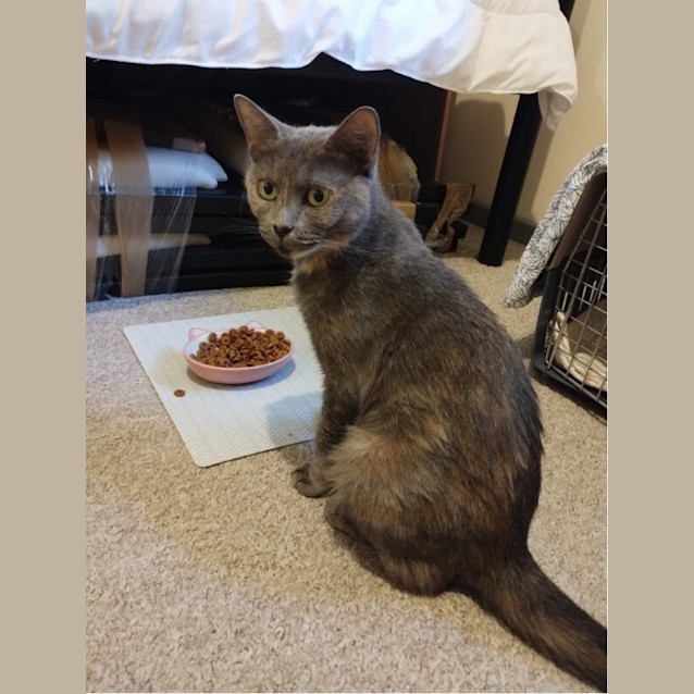 Photo of Sammy