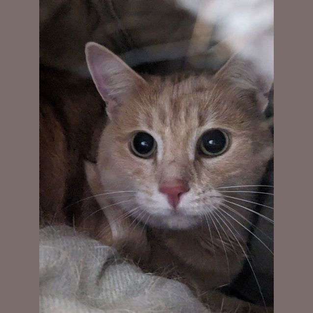 Photo of 🍷 Moet 5154 🍷