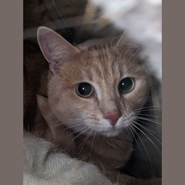 Photo of 🍷 Moet 5154 🍷