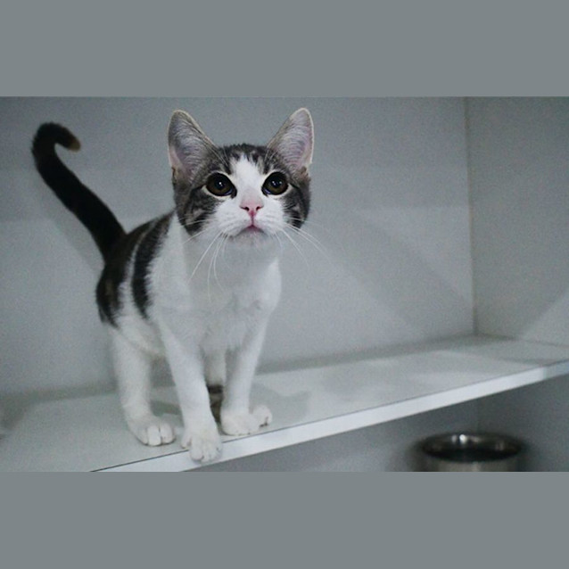 Photo of Britney Jean