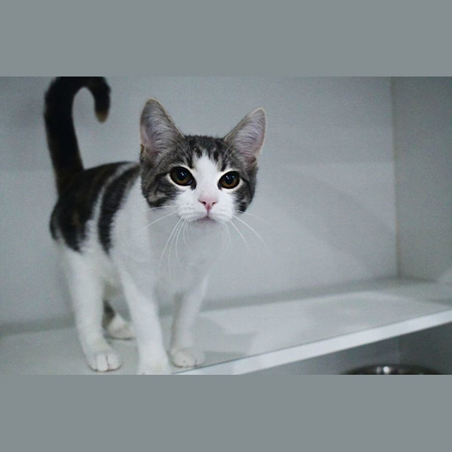 Photo of Britney Jean