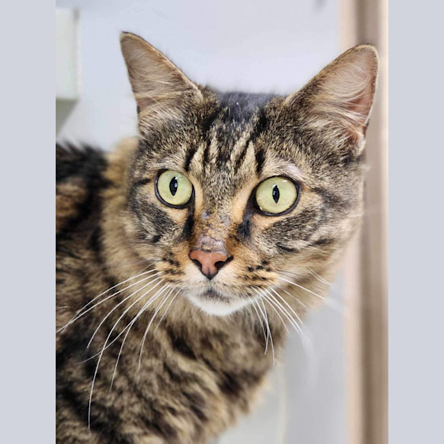 Photo of 🦚 Elliot 5136 🦚