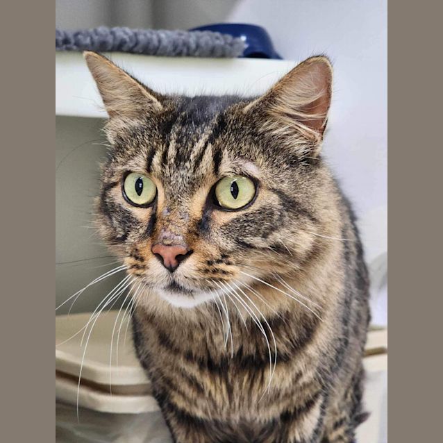 Photo of 🦚 Elliot 5136 🦚