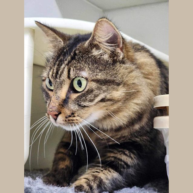 Photo of 🦚 Elliot 5136 🦚