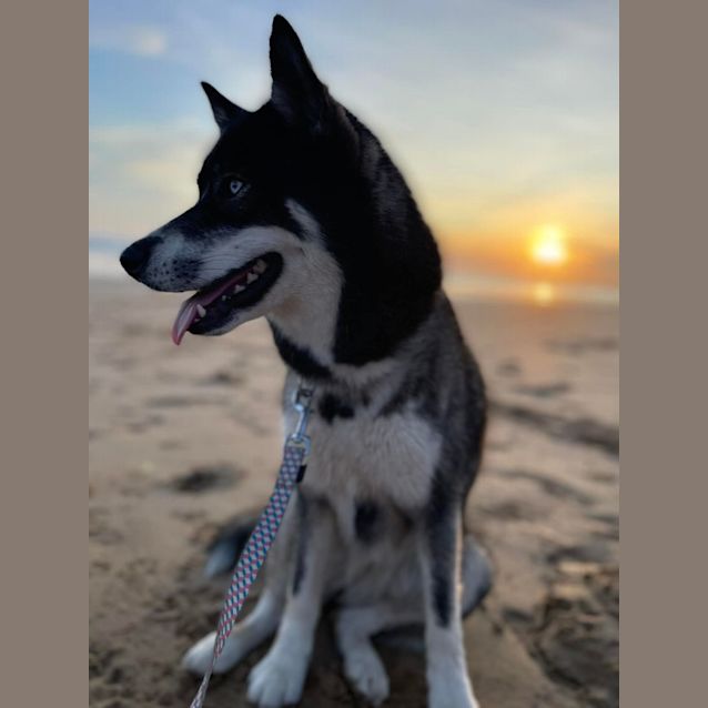 Photo of Kodah