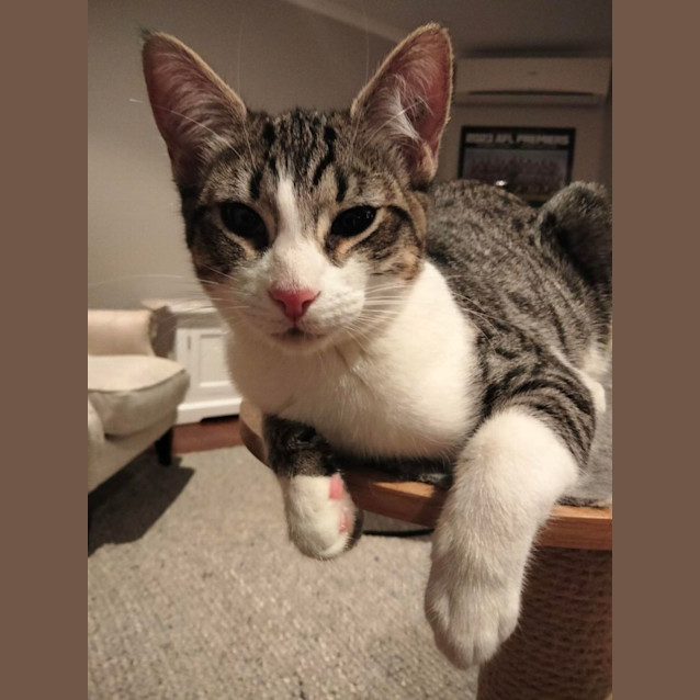 Photo of Gabriella   Located In Eltham North