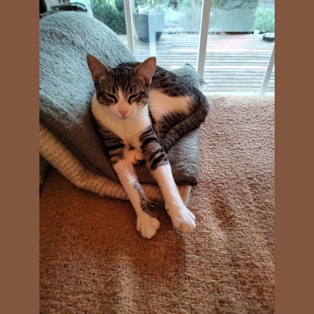 Photo of Gabriella   Located In Eltham North