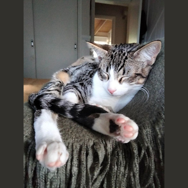 Photo of Gabriella   Located In Eltham North