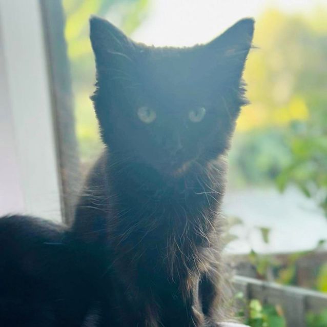 Photo of Billie   Located In Niddrie