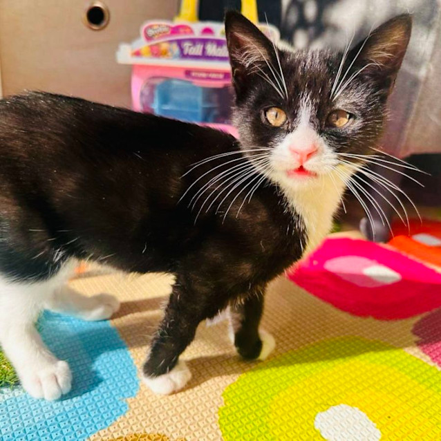 Photo of Etta   Located In Niddrie