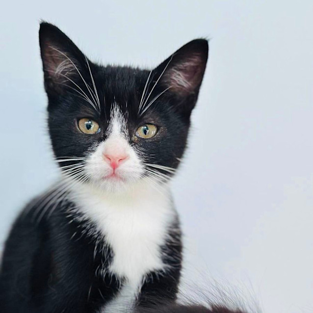 Photo of Etta   Located In Niddrie