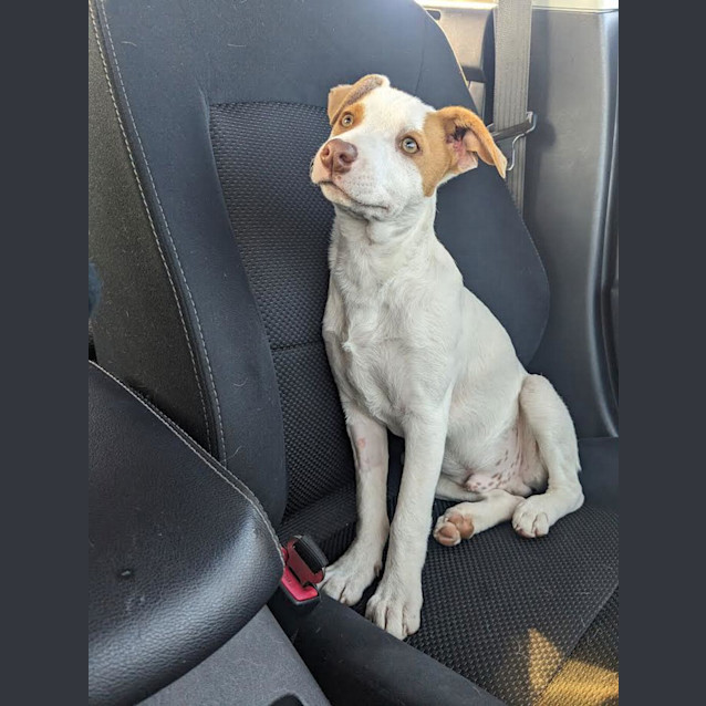 Photo of Luca (Formerly Stephen)