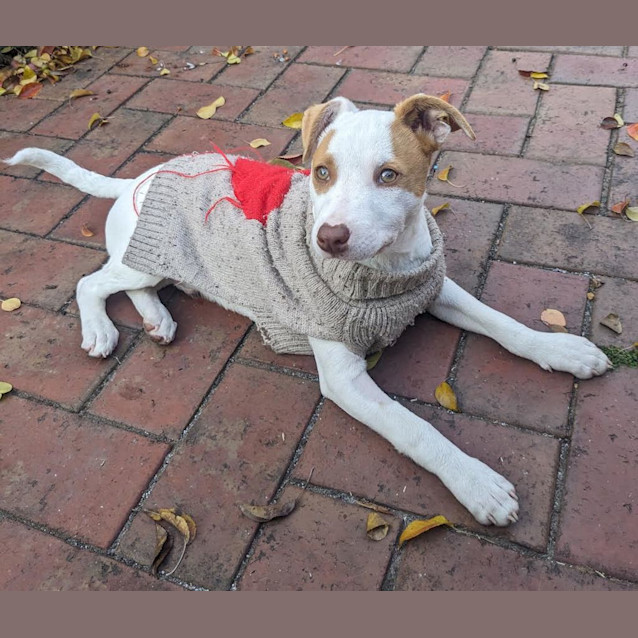 Photo of Luca (Formerly Stephen)