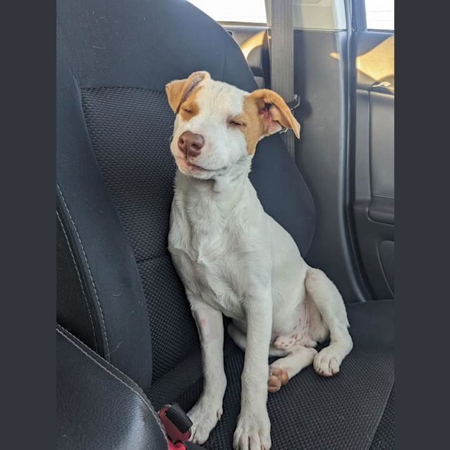 Photo of Luca (Formerly Stephen)