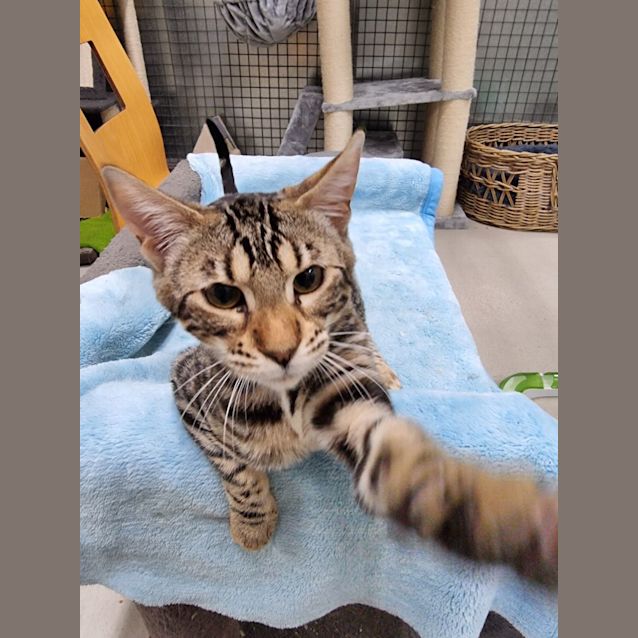 Photo of Xena