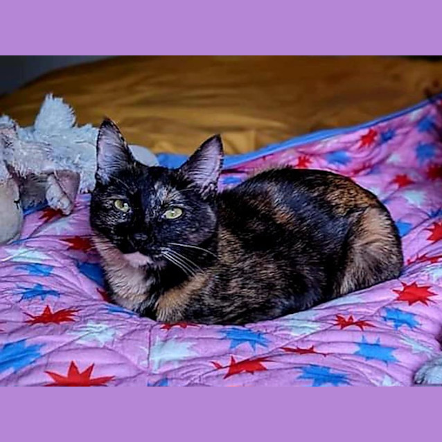 Photo of Imogen   Located In Westmeadows